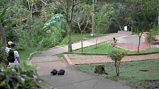 stranger convinces big-titted latina to suck big cock in pov deepthroat... amateurs film her face fucking and blowjob.