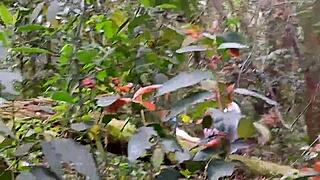 He paid to see my pussy in the park