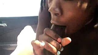 Hazel Grace sucks stranger's dick in car