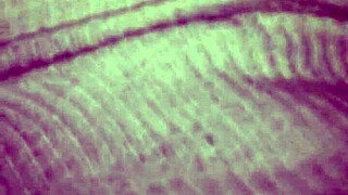 Exploring intimate moments with a partner using toys.