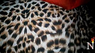 good cock opening that pussy now 😏