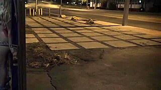 Fucked outdoors? Unless you're from the sixties and love that earthy milf