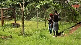 관광지 공원에서 이상한 만남, 몬스터 자지 딥스로트 블로우잡과 타이트 엉덩이 박기 POV