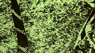 Dark Lantern Entertainment Presents Beauty and the Beast