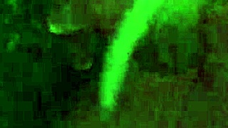 i love fucking my self