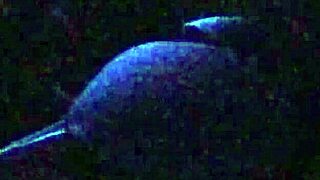 Behind the Scenes: Sexy Black Model in Backroom Interview