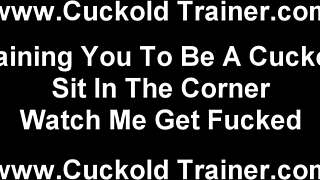 Cuckold Like You Is Good For Nothing