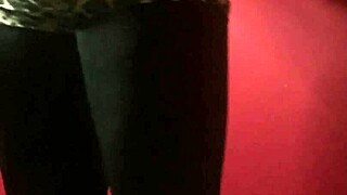 Brazilian Exhibition Show With Striptease Movements And Seductive Dance Performance