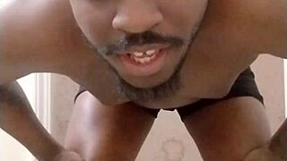 Returning To Make Mess In Different Room Scorpio Wolf