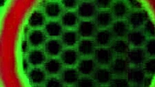 Sara Jay's solo masturbation leads to squirting and muff diving