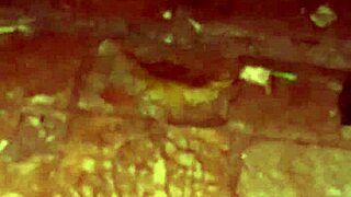 Woman Flashes Pussy Outdoors