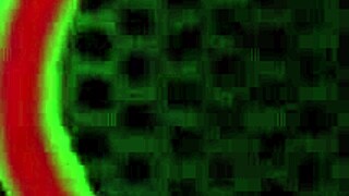 Curvy Long Hair Babe Deepthroats And Rides Rough In Lingerie!