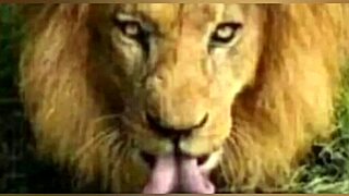 melhores chupadas mamadas boquetes e beijo grego shaved pussy latina petite 18+ big ass masturbation 😏