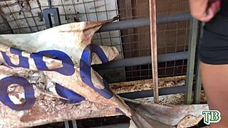 O Comer Dor de Cu Ataca Novamente Levou a Casada no Mato e Fodê o Seu Cuzinho