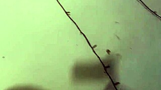 Wild redhead teen fucks friend roughly like a pro!