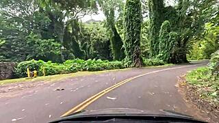 We Love Road Trips On Oahu's Windy Drives