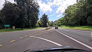 We Love Road Trips On Oahu's Windy Drives