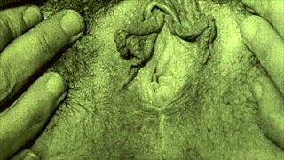 vintage lesbians dive into hairy pussies in threesome