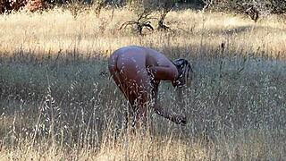 Nudists Enjoy Creek Bed.