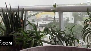 Pretty blonde Goldie Rush riding that huge meaty dick 😍