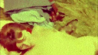 A Trip To The Seaside