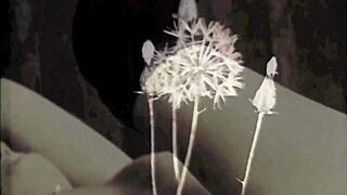 Watch This! Dark Lantern Presents Intense Vintage Scenes of Pussy Licking and Fucking!