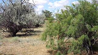Shy Aboriginal Cosplay Dancing Outdoors