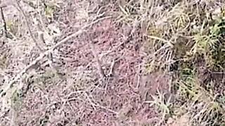 outdoor doggystyle with stranger watching.