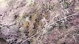 outdoor doggystyle with stranger watching.