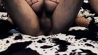 wife cowgirl in erotic mesh bodysuit