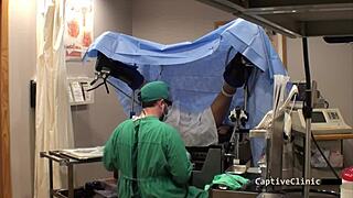 Human Guinea Pigs Phoenix Rose!