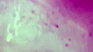 Esposa Con Ex & Su Marido in Exhibitionist Creampie with Husband