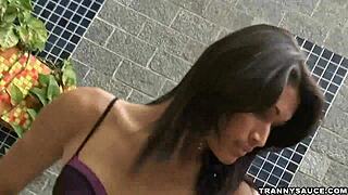 brazilian shemale babe tugs hard cock