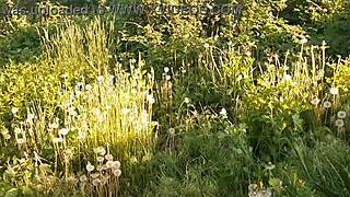 Intimate street masturbation with neighbor leads to simultaneous orgasm