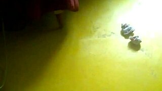 vibrator fun with cousin