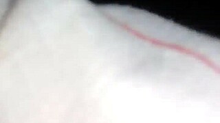 intercambio de colas en grupo anal y sexo suave