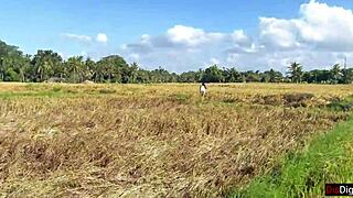 cute rice picker trades work for sex