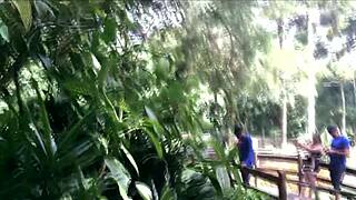 anal copulation in the public park, right out in the open