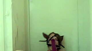 slave submits and gives blowjob in bdsm session