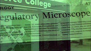 Brunette secretary at work