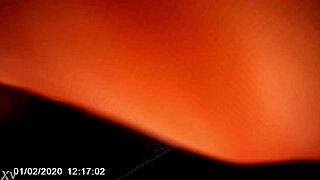 homeless girl blows my cock in the car!