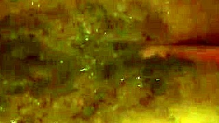 Nicole Aniston Calls Her Favorite Big-Dicked Stud For Rough Meaningless Sex