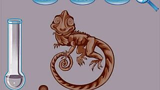 Let's Play First Pickups