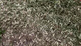 Real hot home sex with beautiful girl riding and blowing