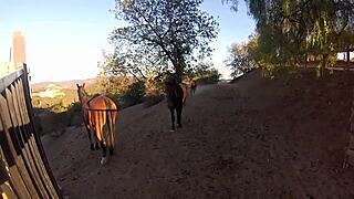 Arabic Prince Is Horny Fucker