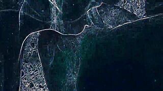 Intense Emotions Build During Passionate Rimming And Blowjob In Vibrant Club Lighting