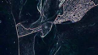 Intense Emotions Build During Passionate Rimming And Blowjob In Vibrant Club Lighting