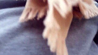 mostro le mie tette in un giardino pubblico e dopo piscio dentro ai miei pantaloni aderenti