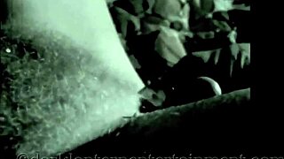 in this vintage erotic confession, a victorian gentleman reveals his stiff poker with hairy beavers