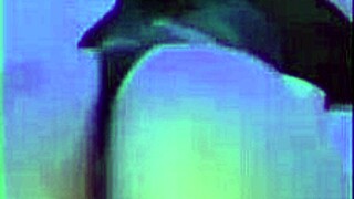 The bread seller got so aroused, we couldn't resist fucking passionately